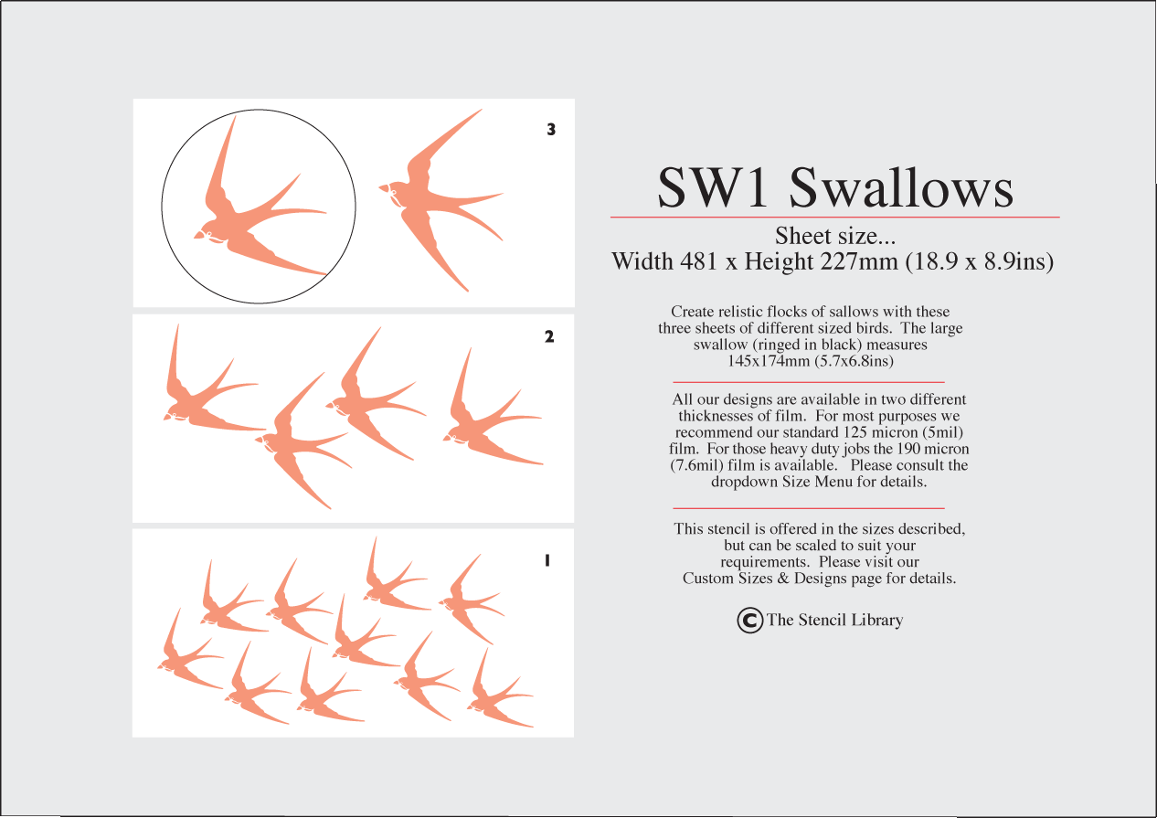 17. SW1 Swallows