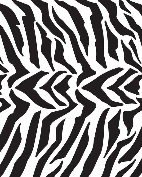 2. MD1 Zebra