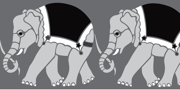21. BB91 Elephants