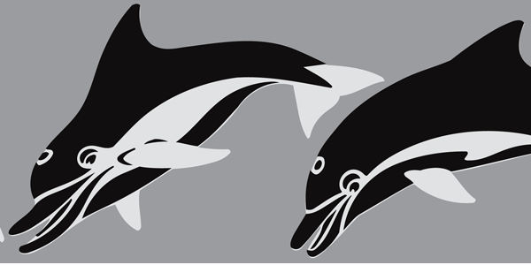 23. CA104 Dolphins