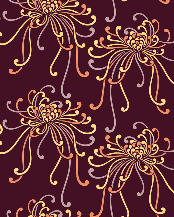 Spider Chrysanthemums