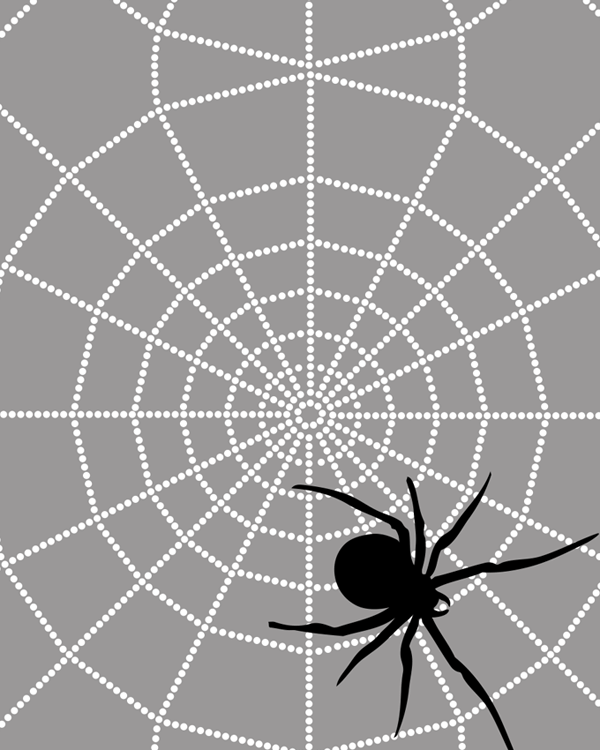 56. VN175 Spiderweb