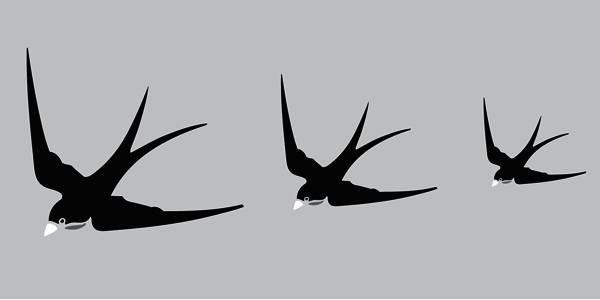 56. Y-10 Three Swallows