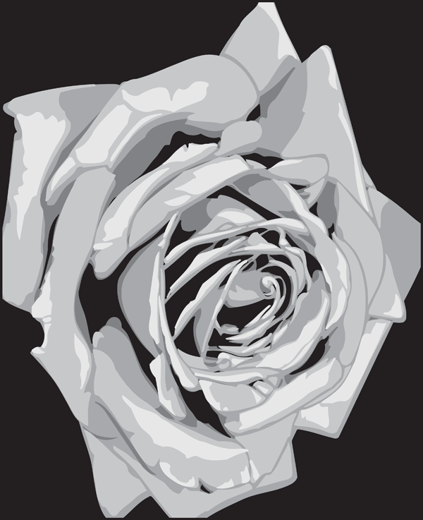 17. CO1 Rose