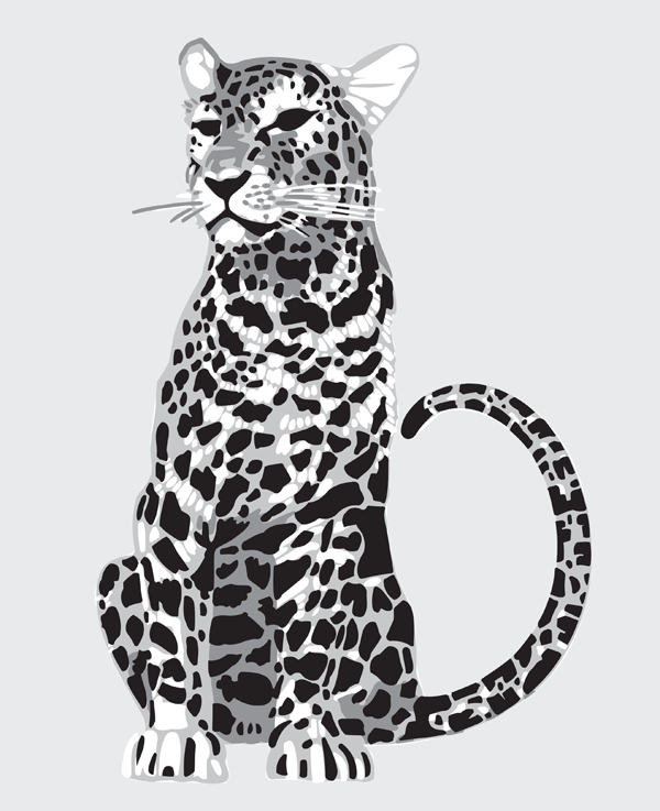 25. CO14 Leopard