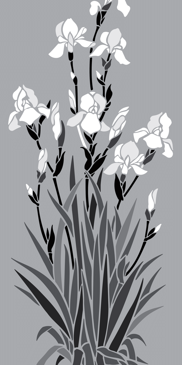 66. GR56 Irises