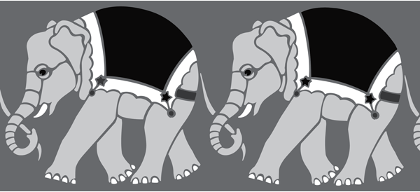 13. BB91 Elephants