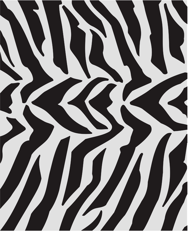 25. NC5 Zebra