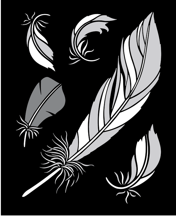 32. TP26 Feathers
