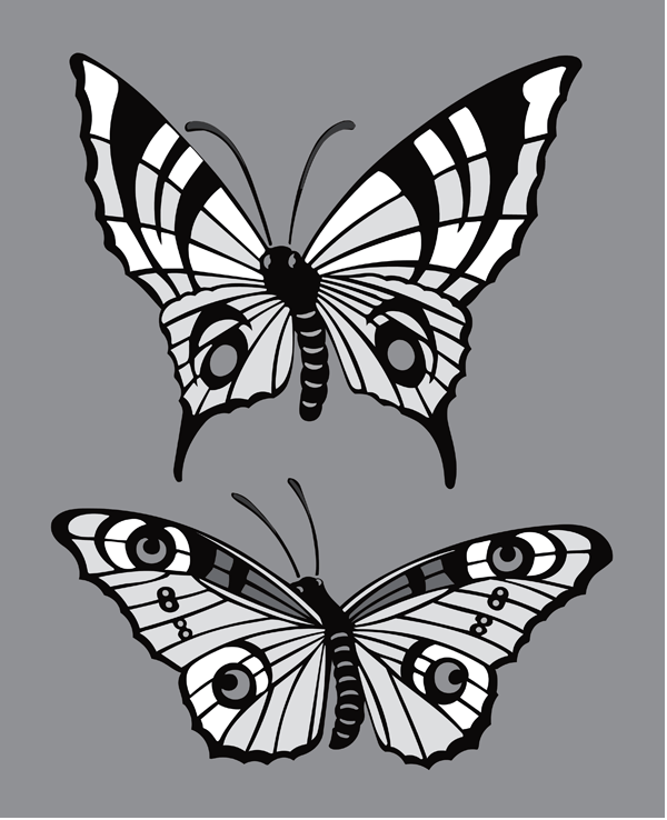8. CA8 Butterflies