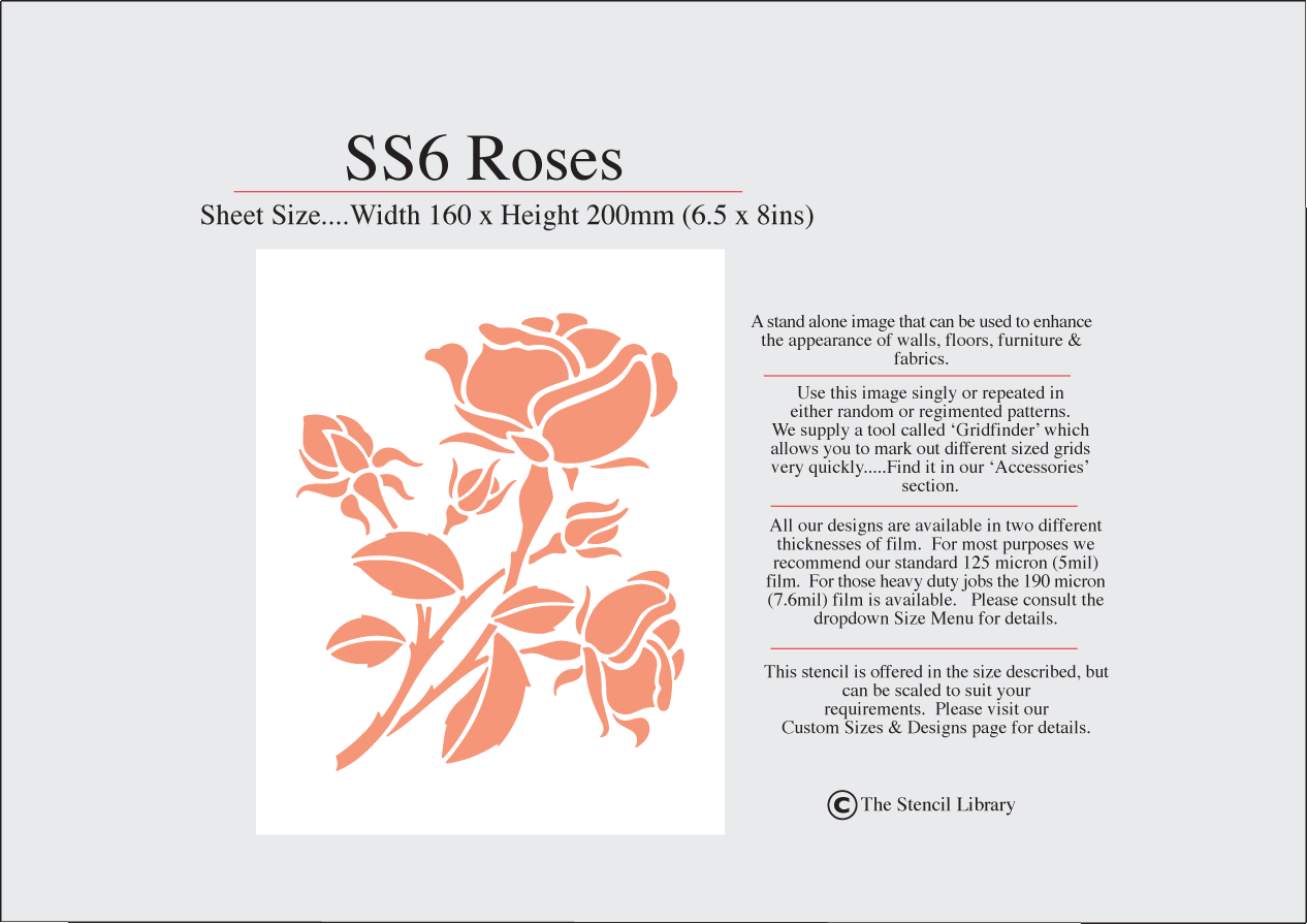 SS6 Roses