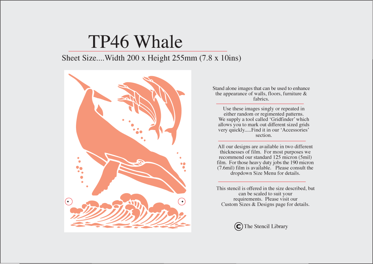 TP46 Whale